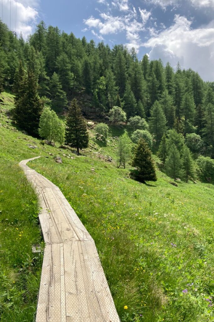 Schöner Wanderweg im Trentino