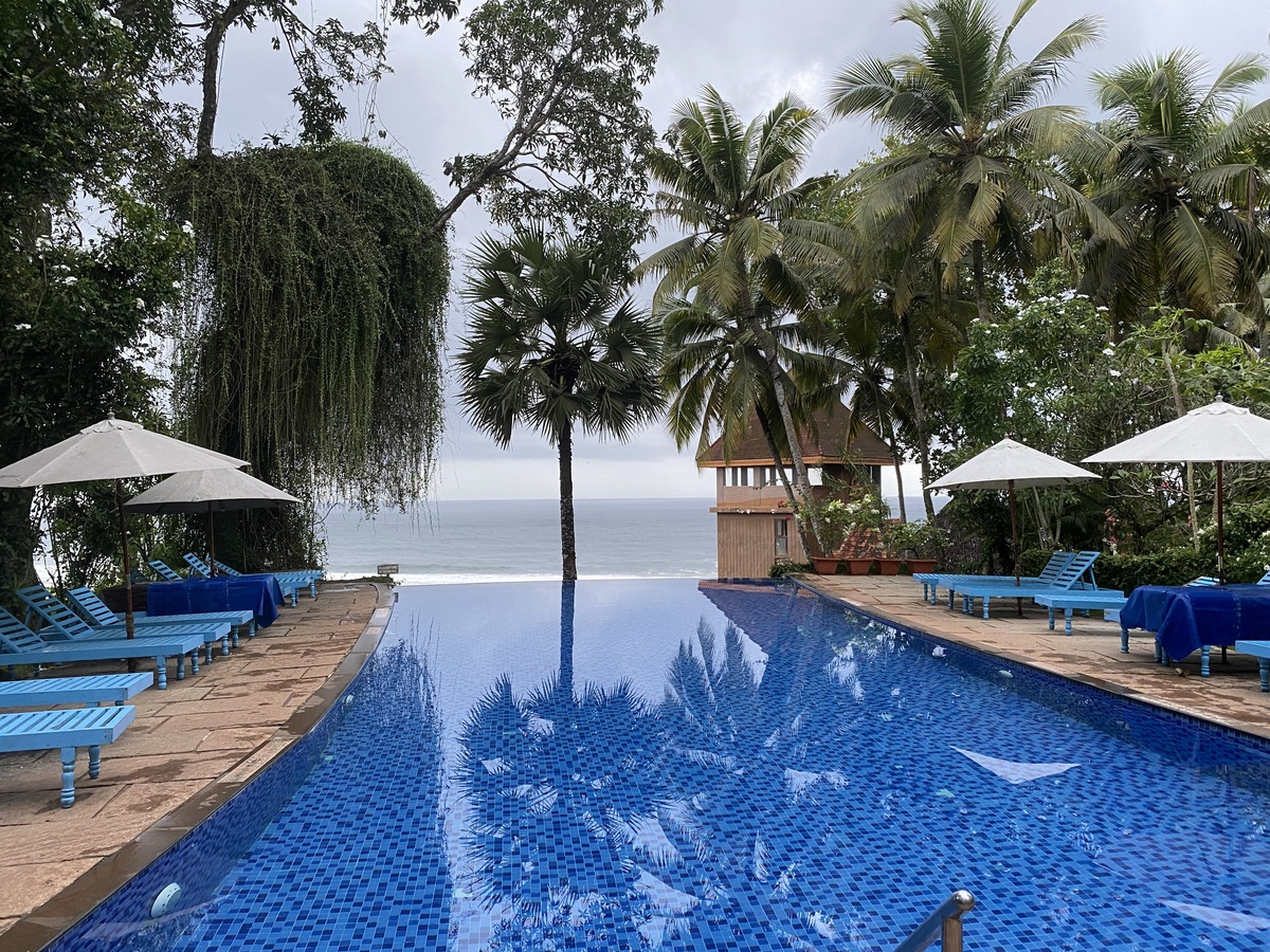 Ayurveda verstehen – die Grundlagen kompakt