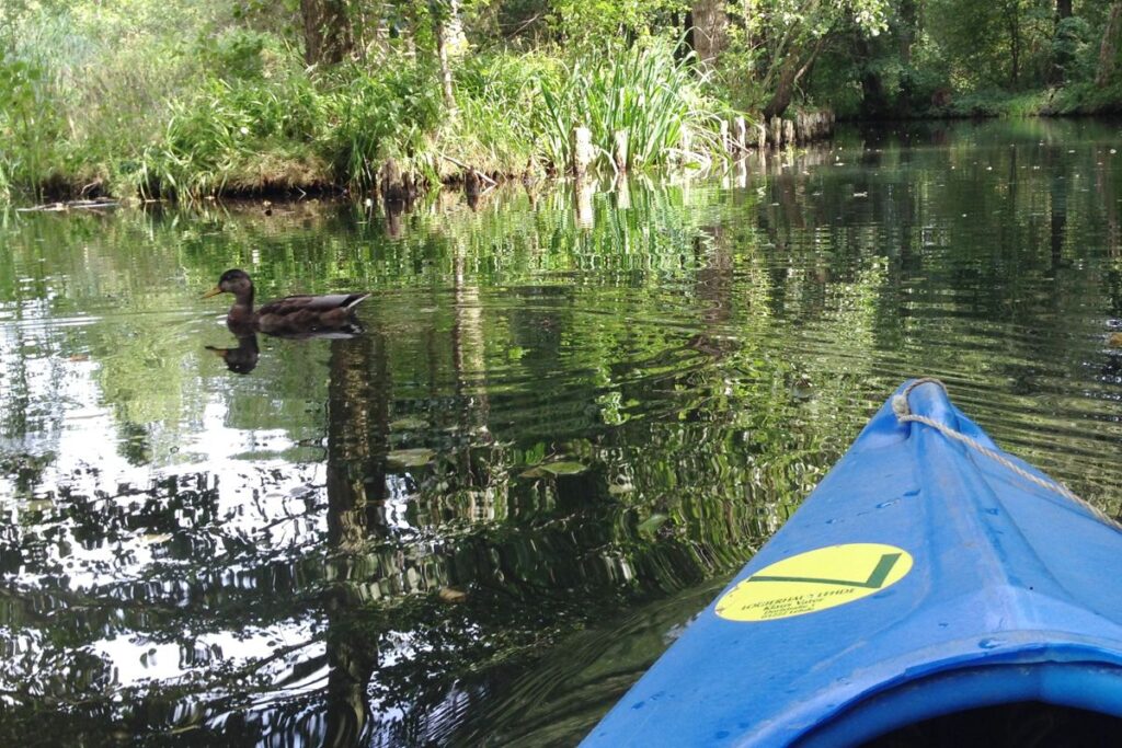 Mit dem Kajak durch den Spreewald
