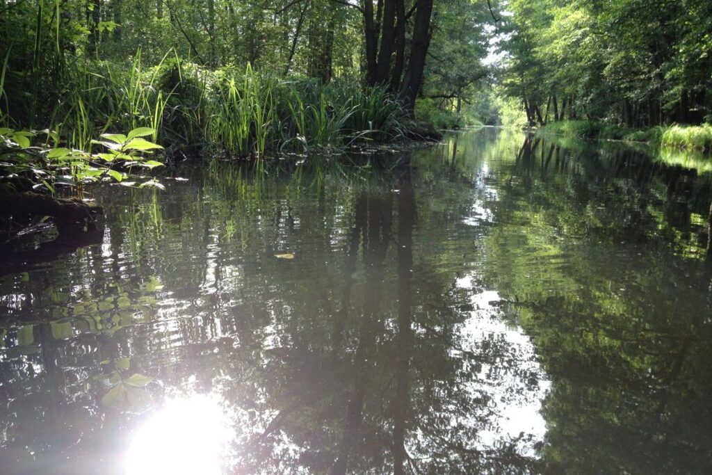 Spreewald-Natur