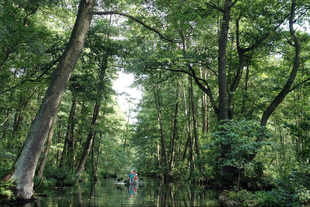 Eine Schwäbin im Spreewald – ein Reisebericht