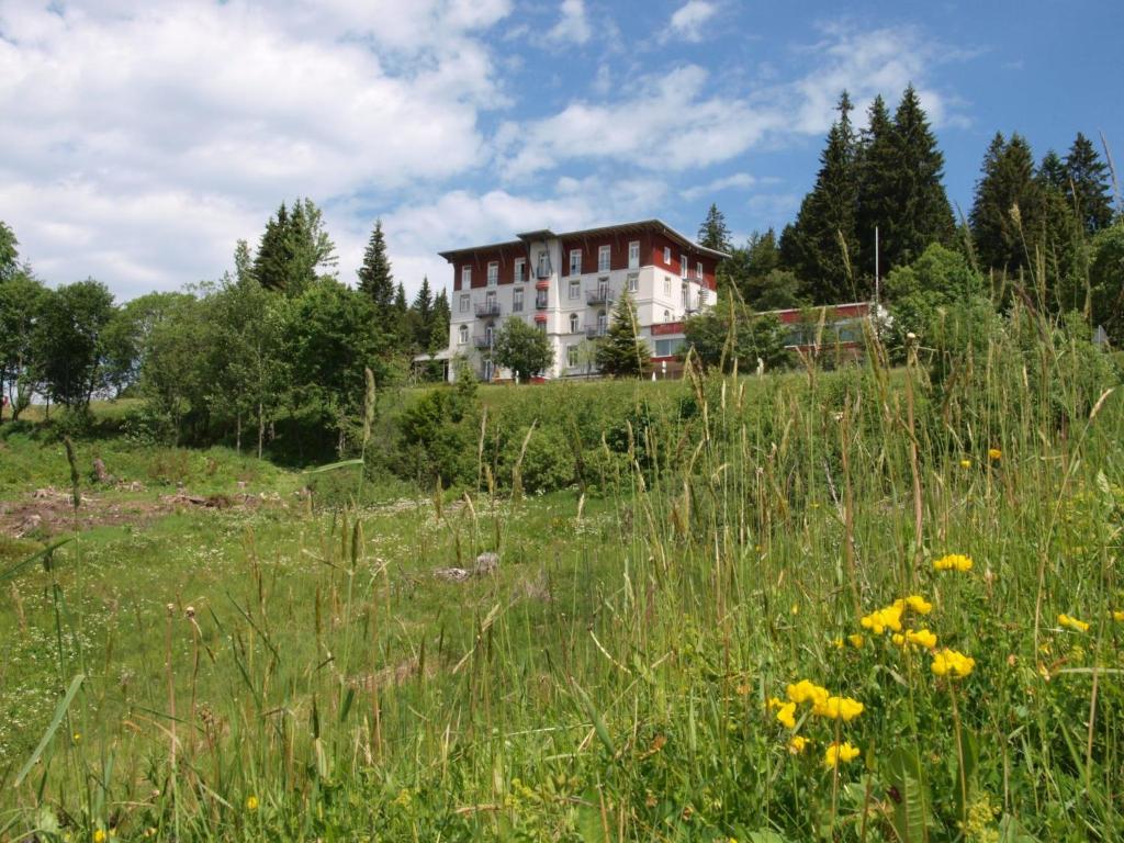 Außenfoto des Waldhotel am Notschreipass in Todtnau