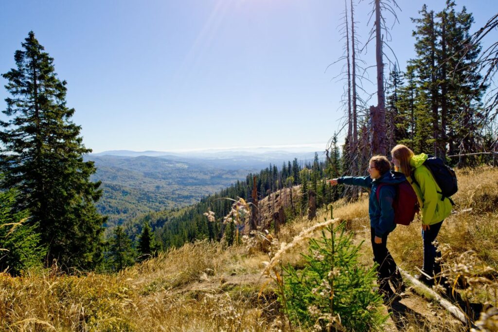Wanderurlaub im Bayerischen Wald
