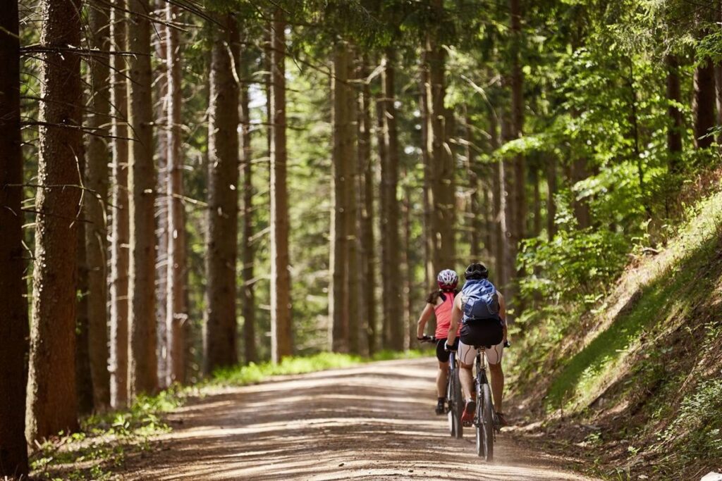 Wellness & Aktivurlaub: Fahrradfahren im Schwarzwald