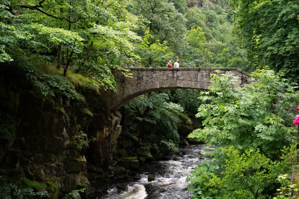 Die 10 schönsten Wanderregionen in Deutschland: Harz