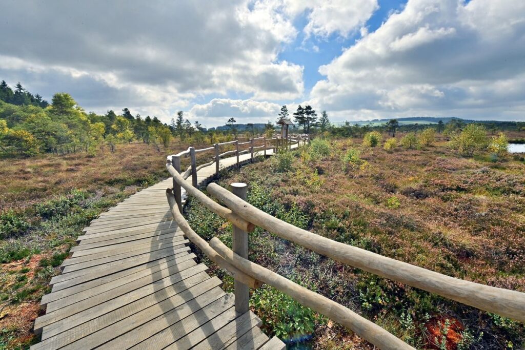 Rhön Schwarzes Moor