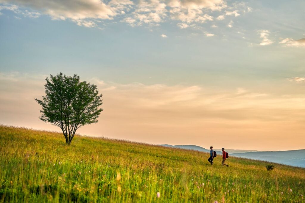 Rhön - wandern