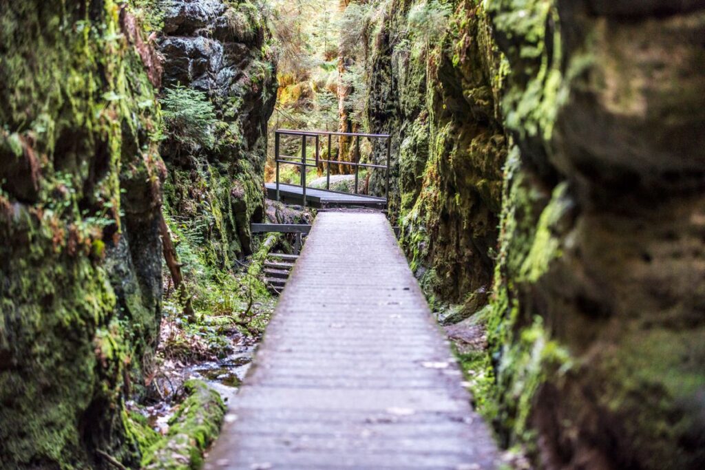 Sächsische Schweiz: Schwederlöcher