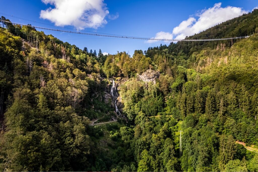 Schwarzwald, Todtnau: Blackforestline