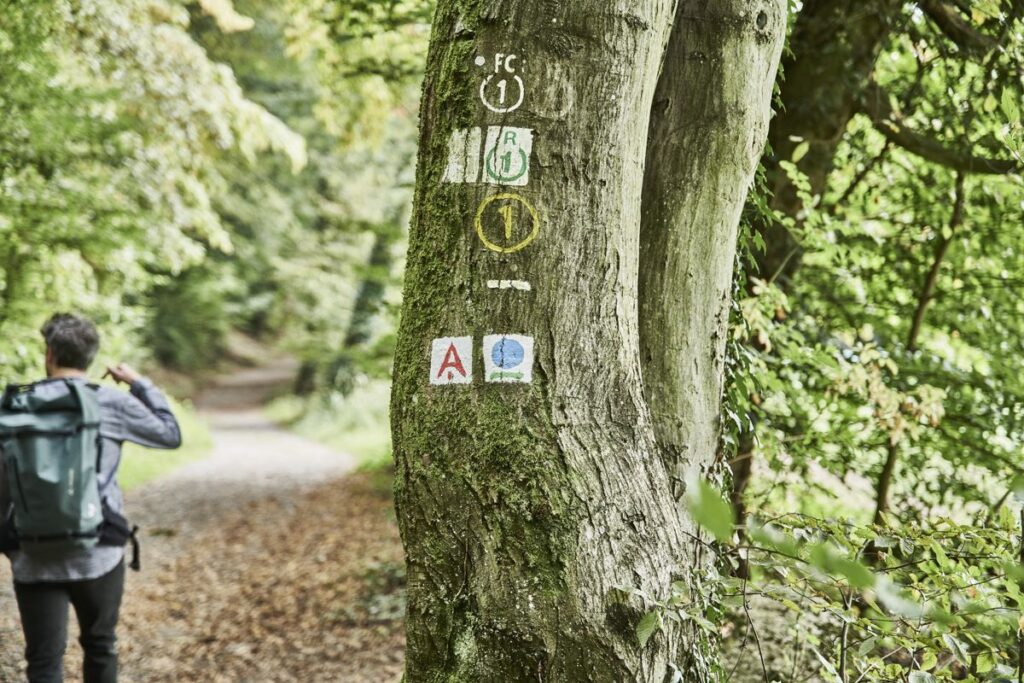 Wanderung an der Burgruine Rodenstein (Odenwald, Hessen)
