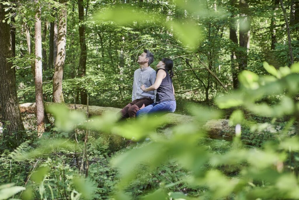 Der Wald im Taunus lädt zu entspannenden Spaziergängen ein