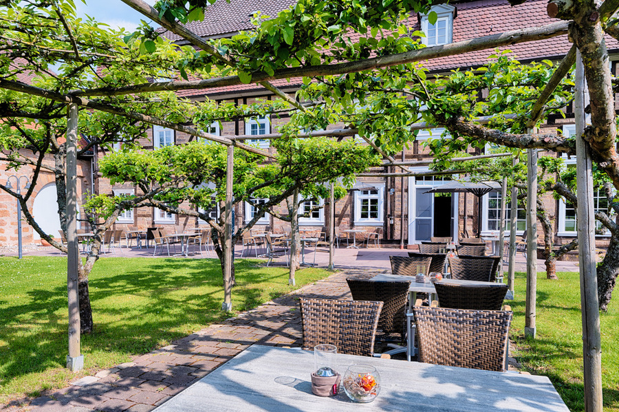 Sonnige Außenterrasse mit hübscher Bepflanzung am Welcome Hotel Bad Arolsen